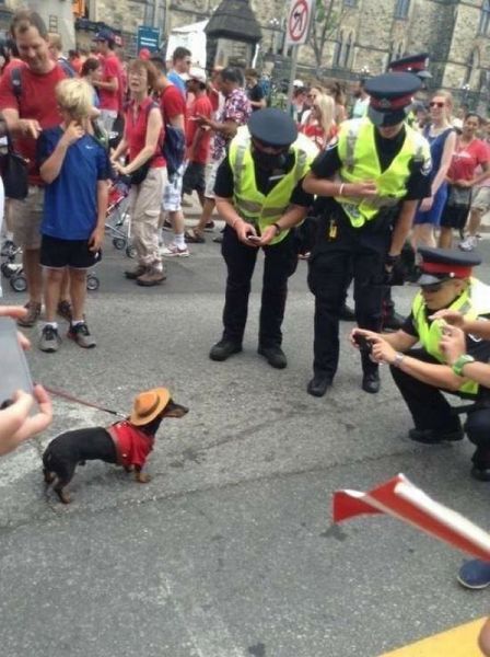Content Image