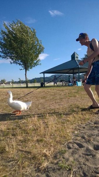 Content Image