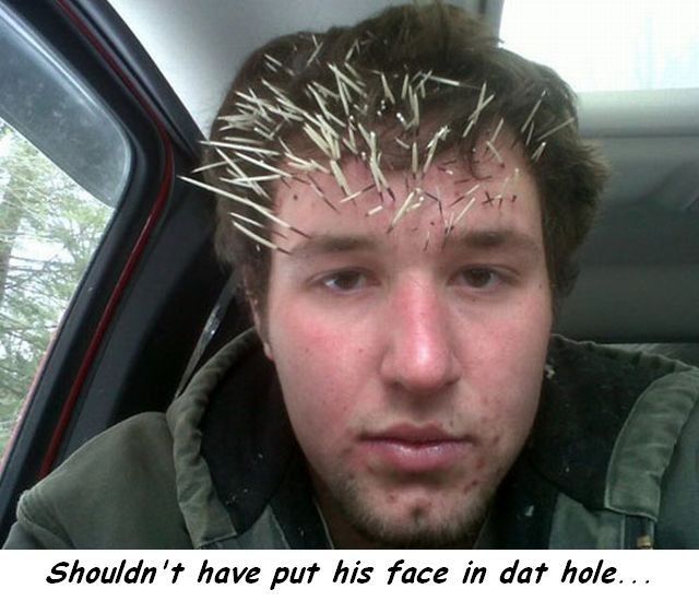 Content Image