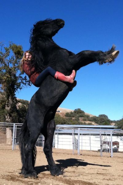 Morning Picdump