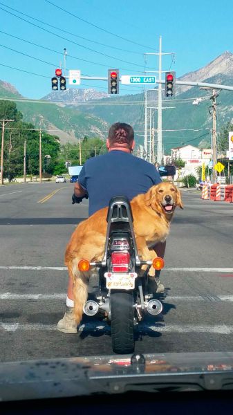 Morning Picdump