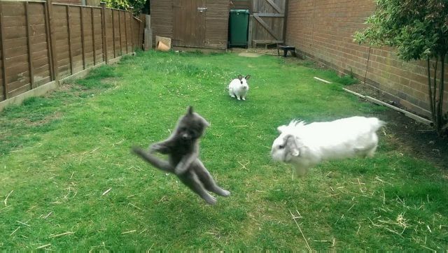 Morning Picdump