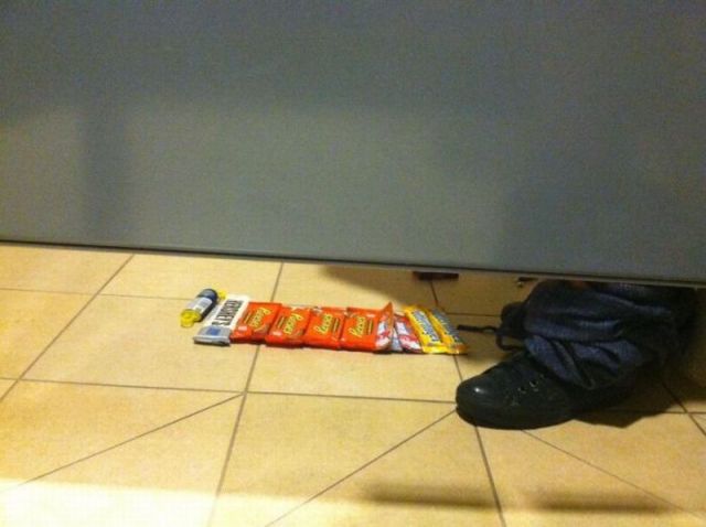Morning Picdump