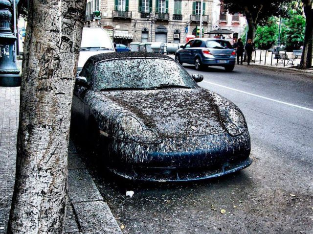 Morning Picdump