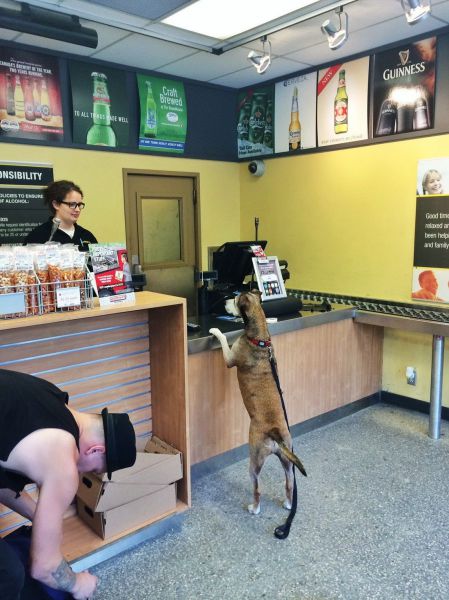 Morning Picdump