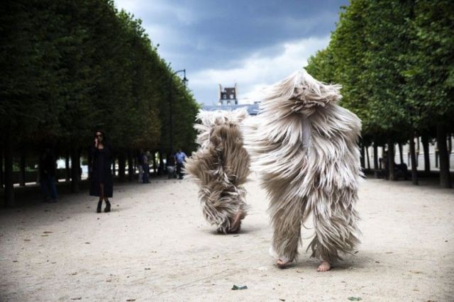 Morning Picdump