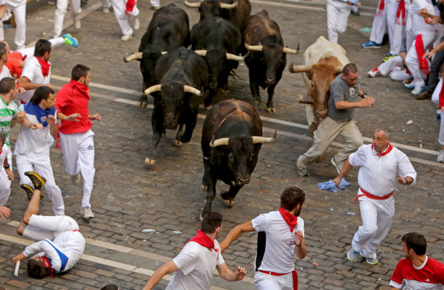 Fun and Craziness at the Annual Street Festival in Spain