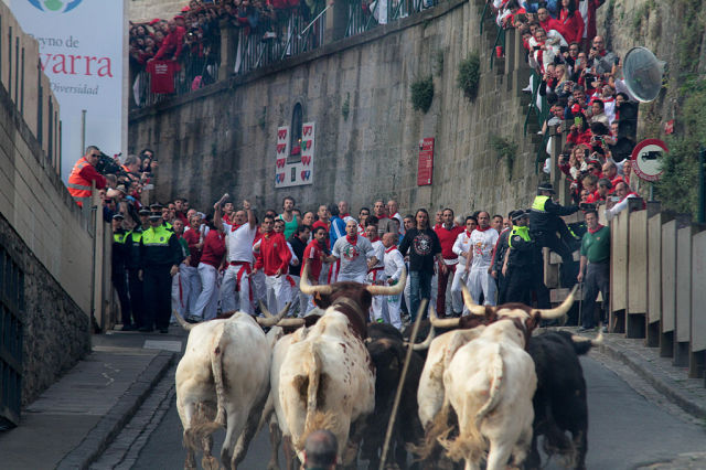 Fun and Craziness at the Annual Street Festival in Spain
