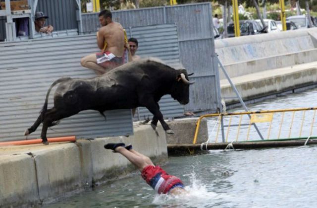 Fun and Craziness at the Annual Street Festival in Spain