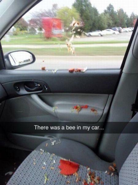 Morning Picdump