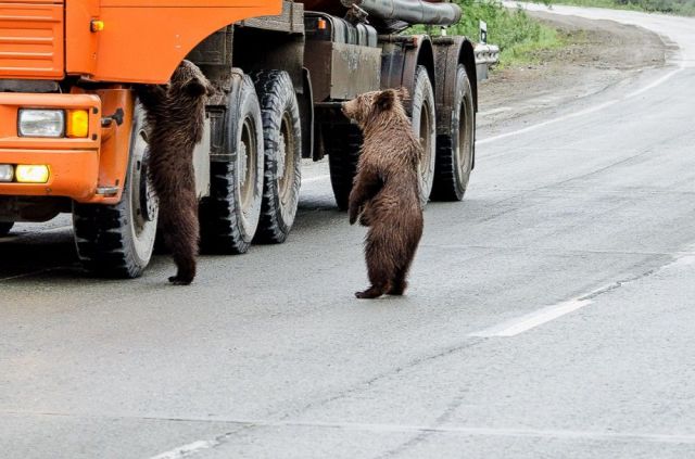 Morning Picdump