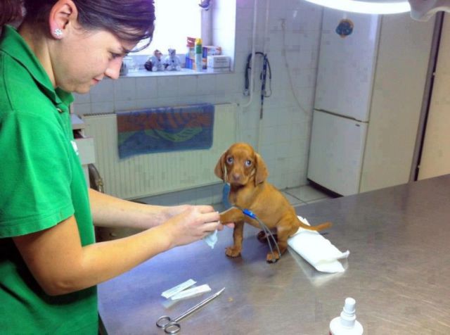 Daily Picdump
