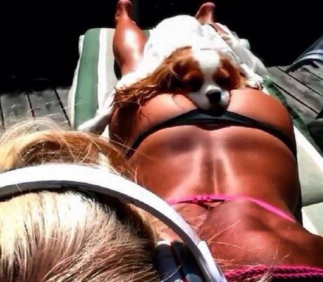 Daily Picdump