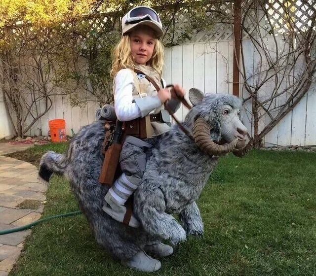Content Image