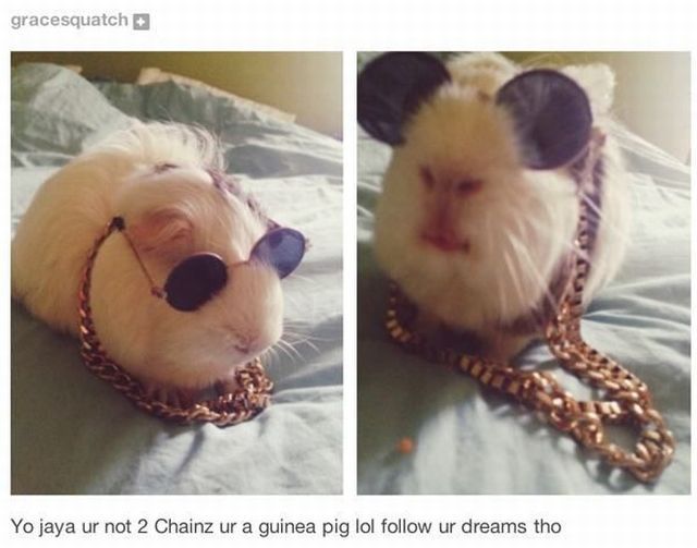 Content Image
