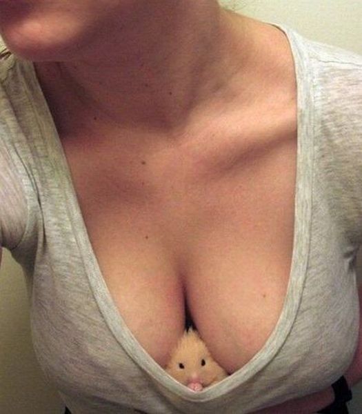 Content Image
