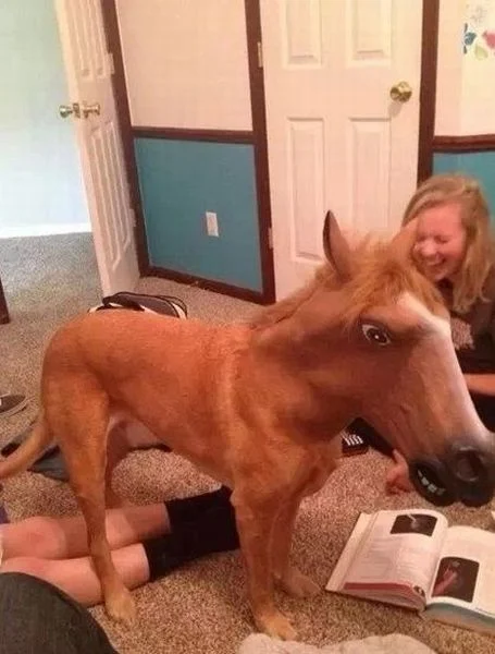 Content Image