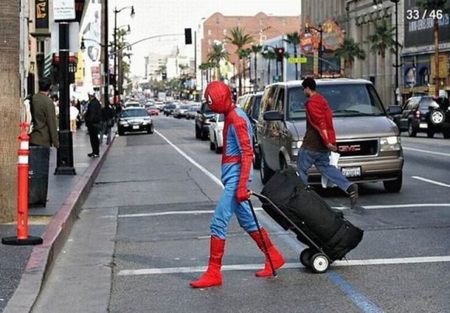 Content Image