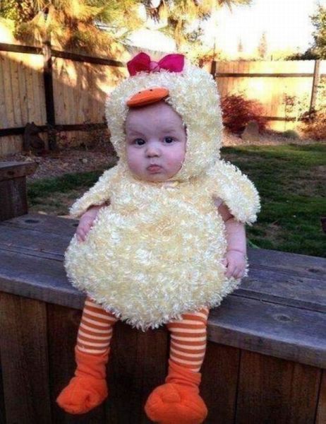 Content Image