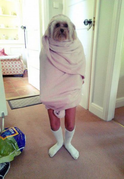 Content Image