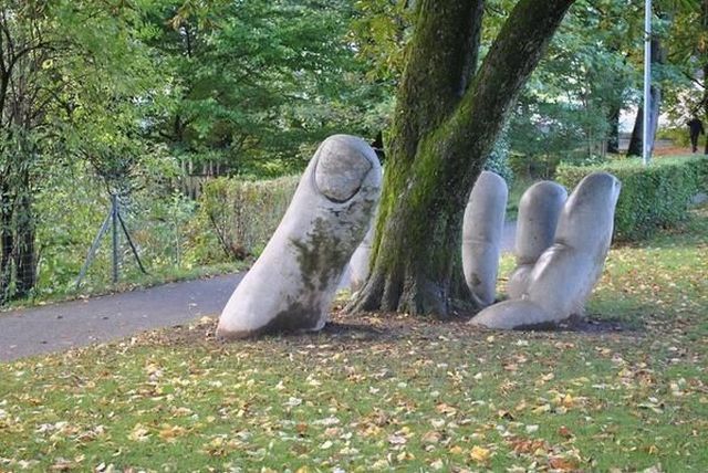Content Image