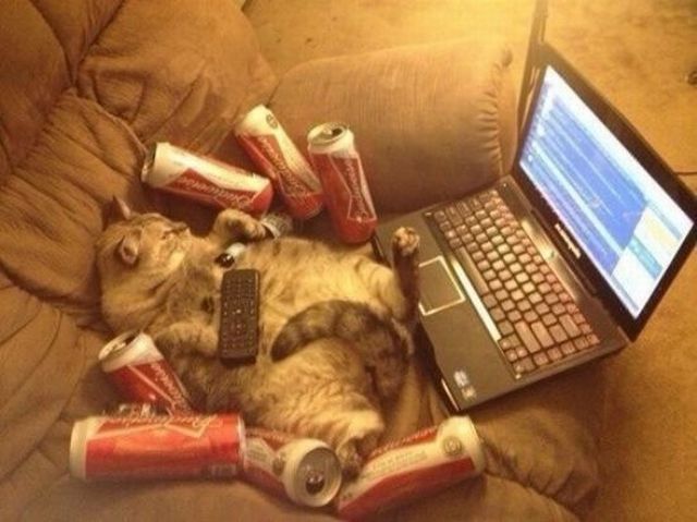 Content Image