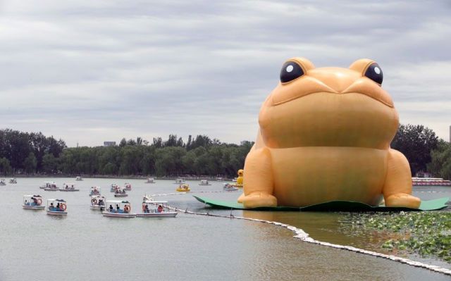 Content Image