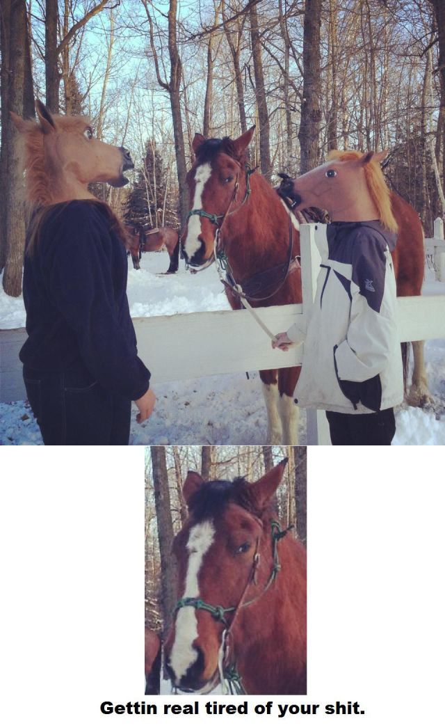 Content Image