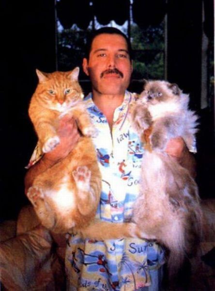 Content Image