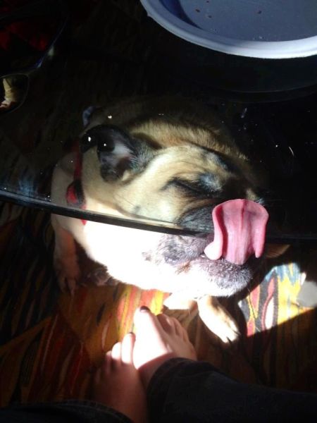 Content Image