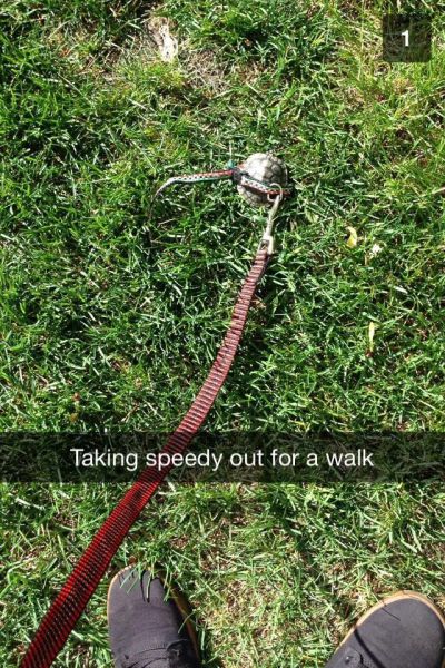 Content Image