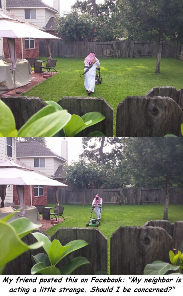 Content Image