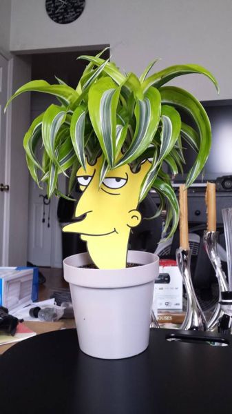 Content Image