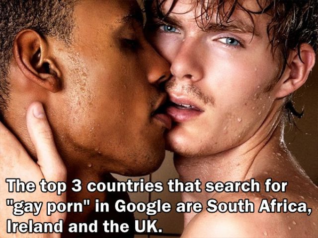Trivia about the Adult Film Industry