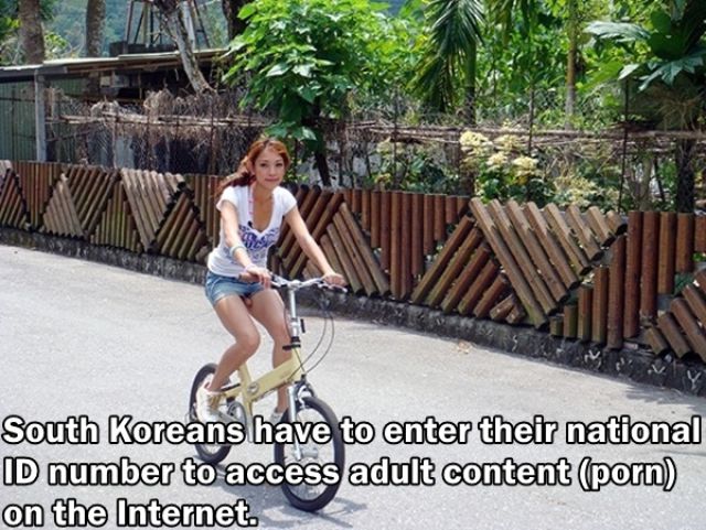 Trivia about the Adult Film Industry