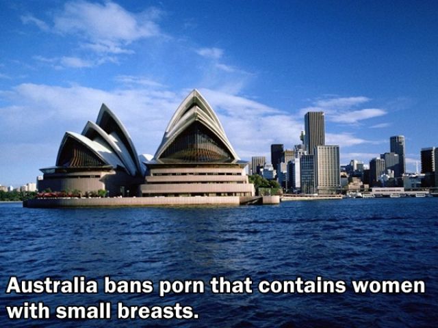 Trivia about the Adult Film Industry