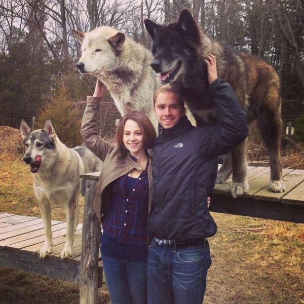 Daily Picdump