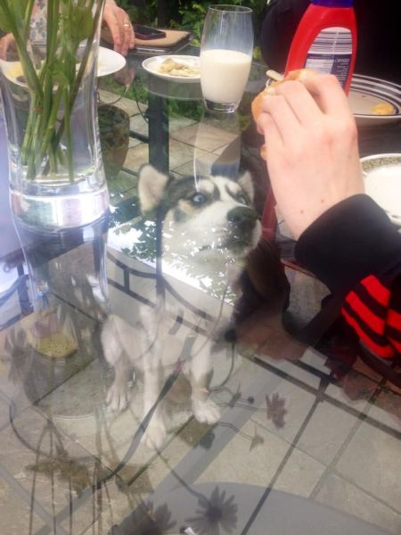 Daily Picdump