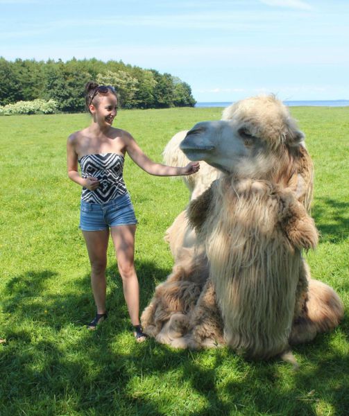 Morning Picdump