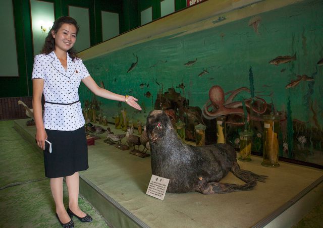 Inside a North Korean Summer Camp
