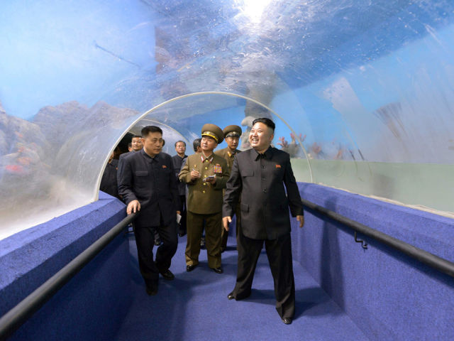 Inside a North Korean Summer Camp