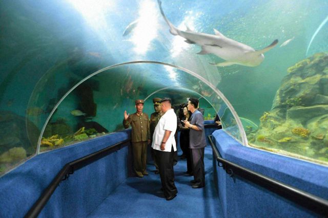 Inside a North Korean Summer Camp