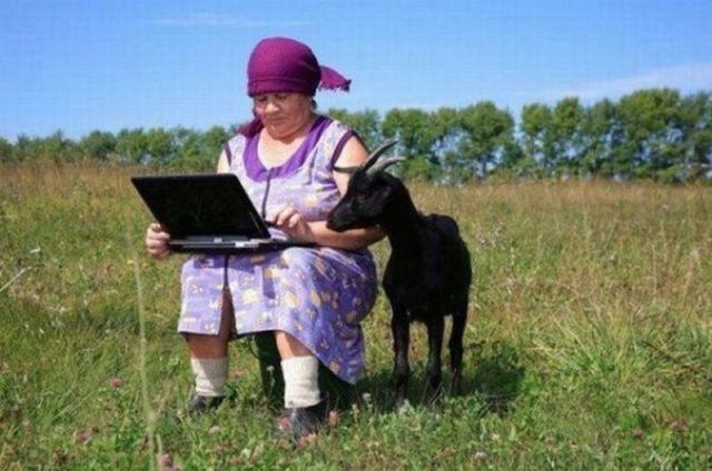 Content Image