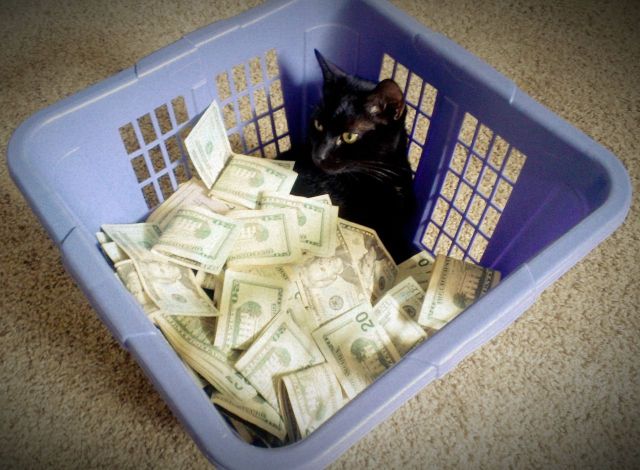 Content Image
