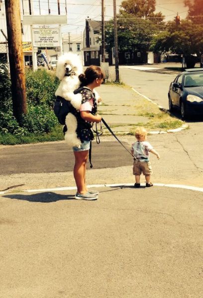 Morning Picdump