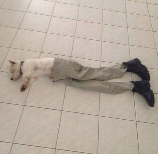 Content Image