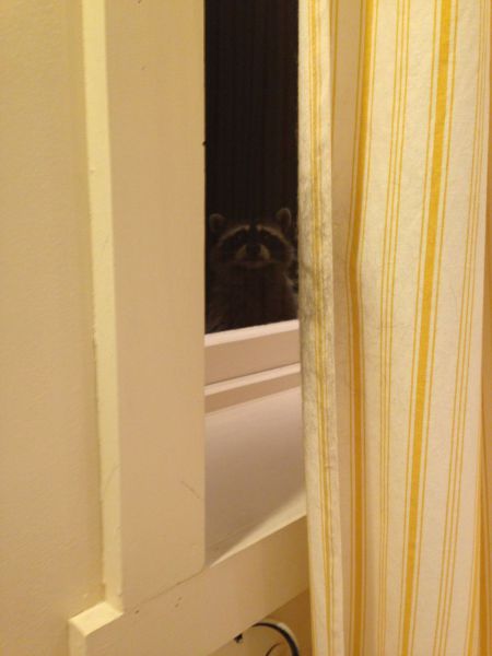 Content Image