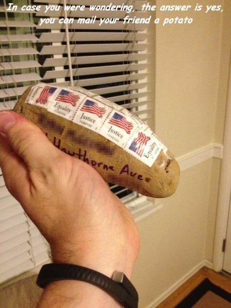 Content Image
