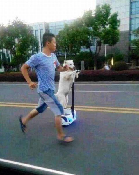 Content Image