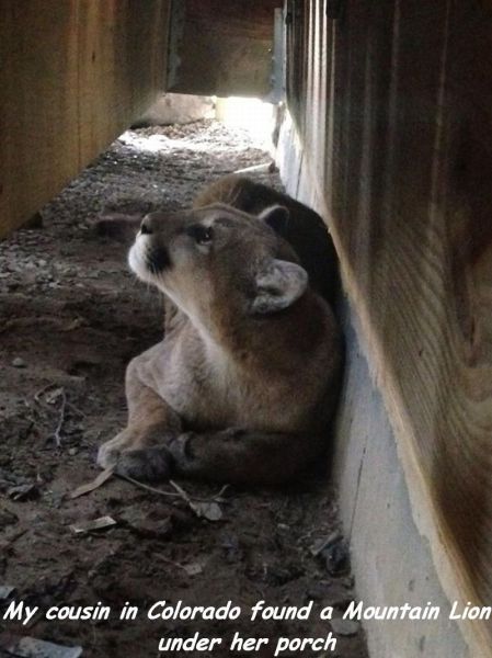 Morning Picdump